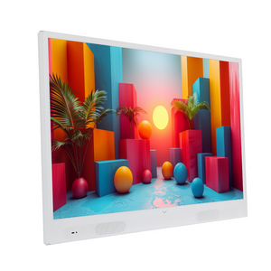 Portable Android TV